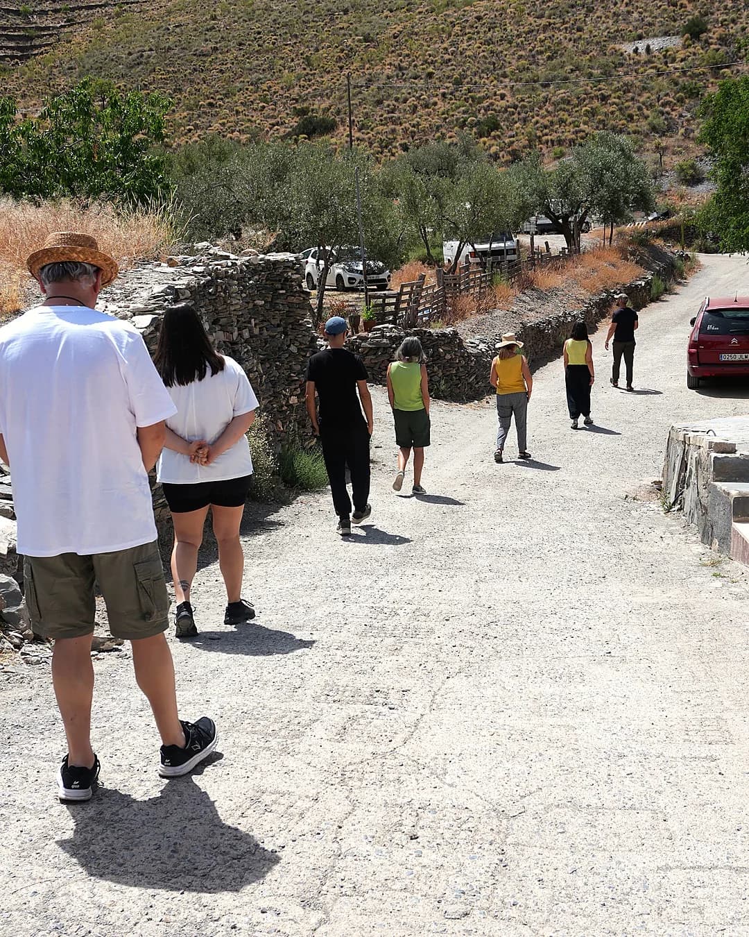 Grupo caminando en meditación consciente por un camino rural de Almería