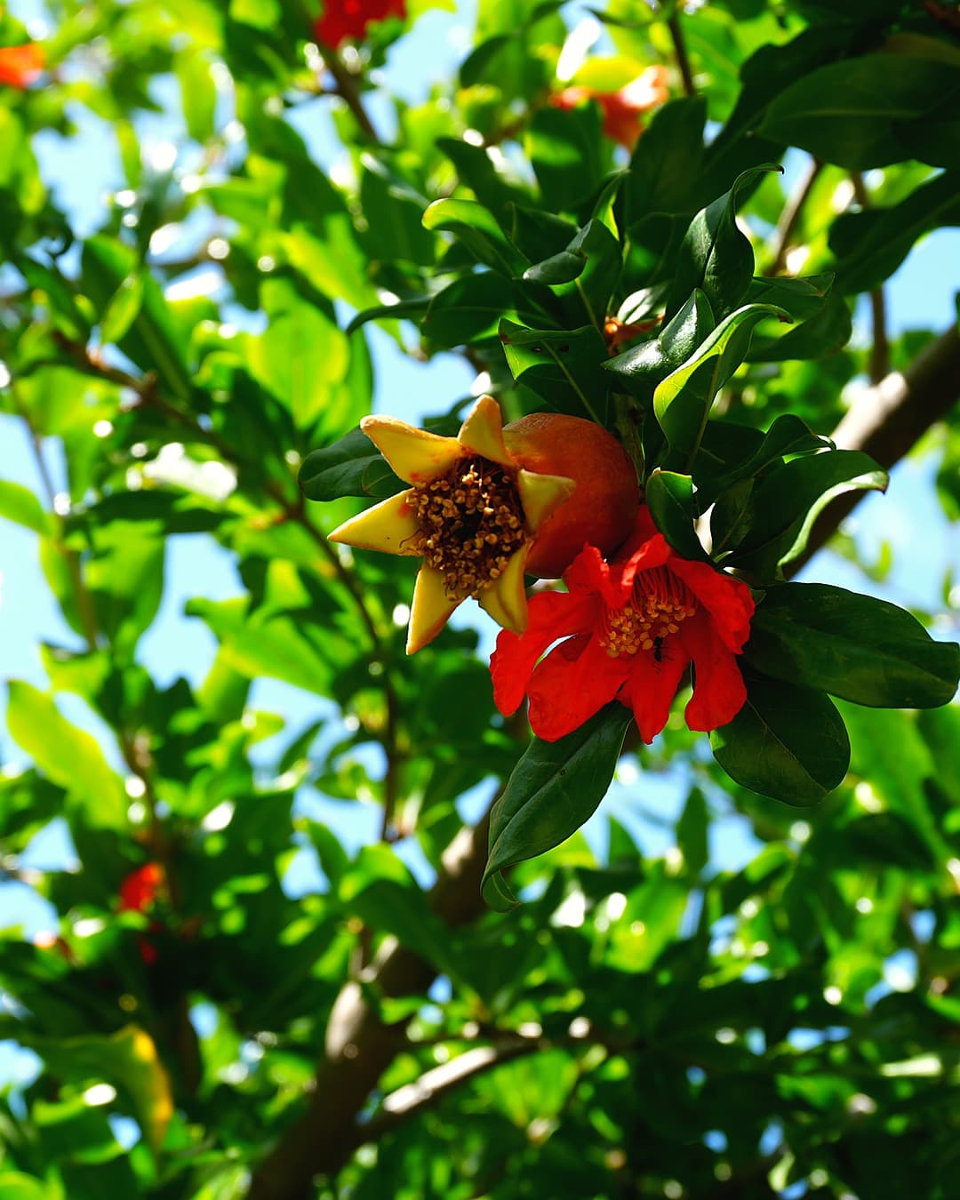 Foto 14 de la galería de Mindfulness Almería