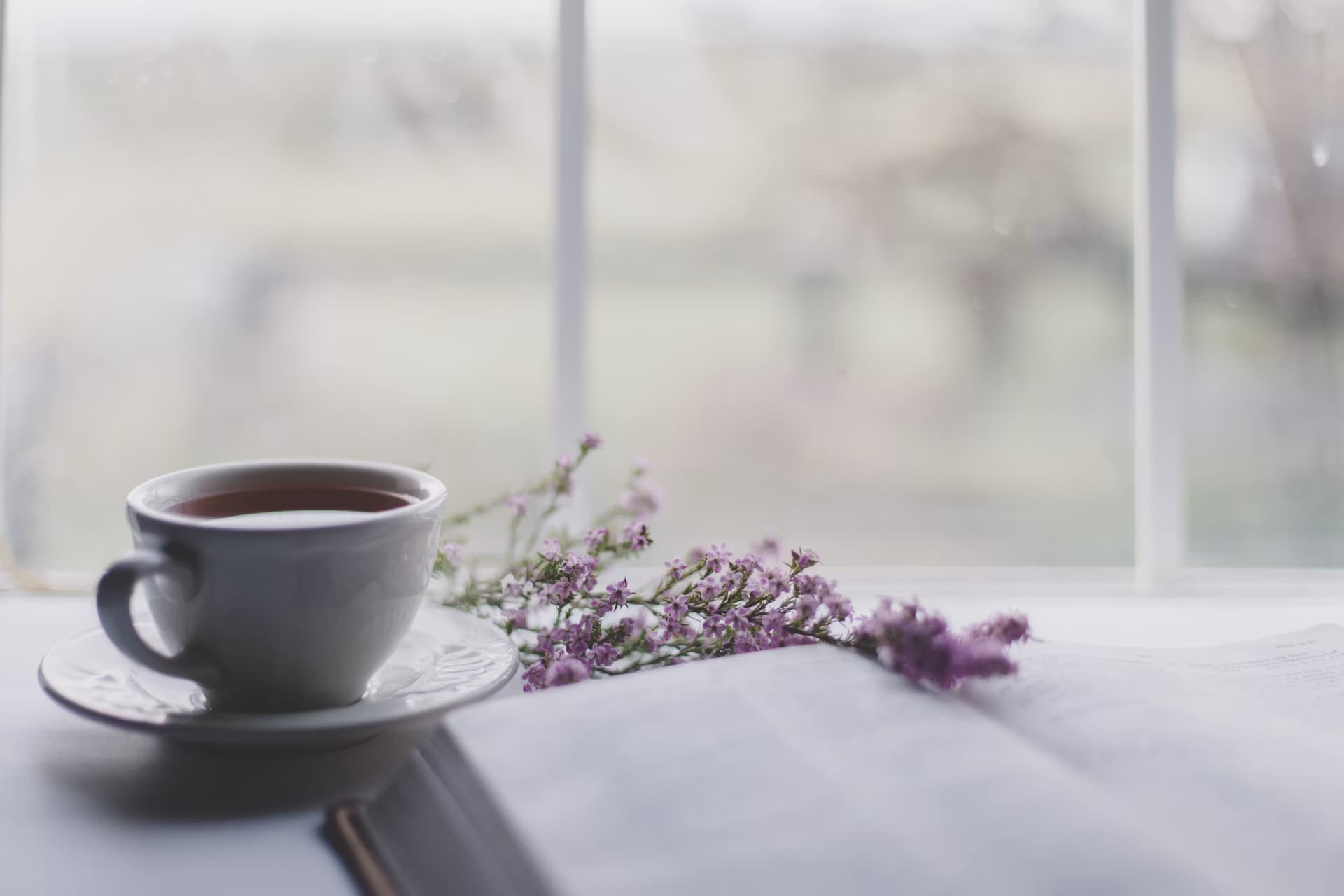Libro abierto y taza de té evocando lectura tranquila y pausada